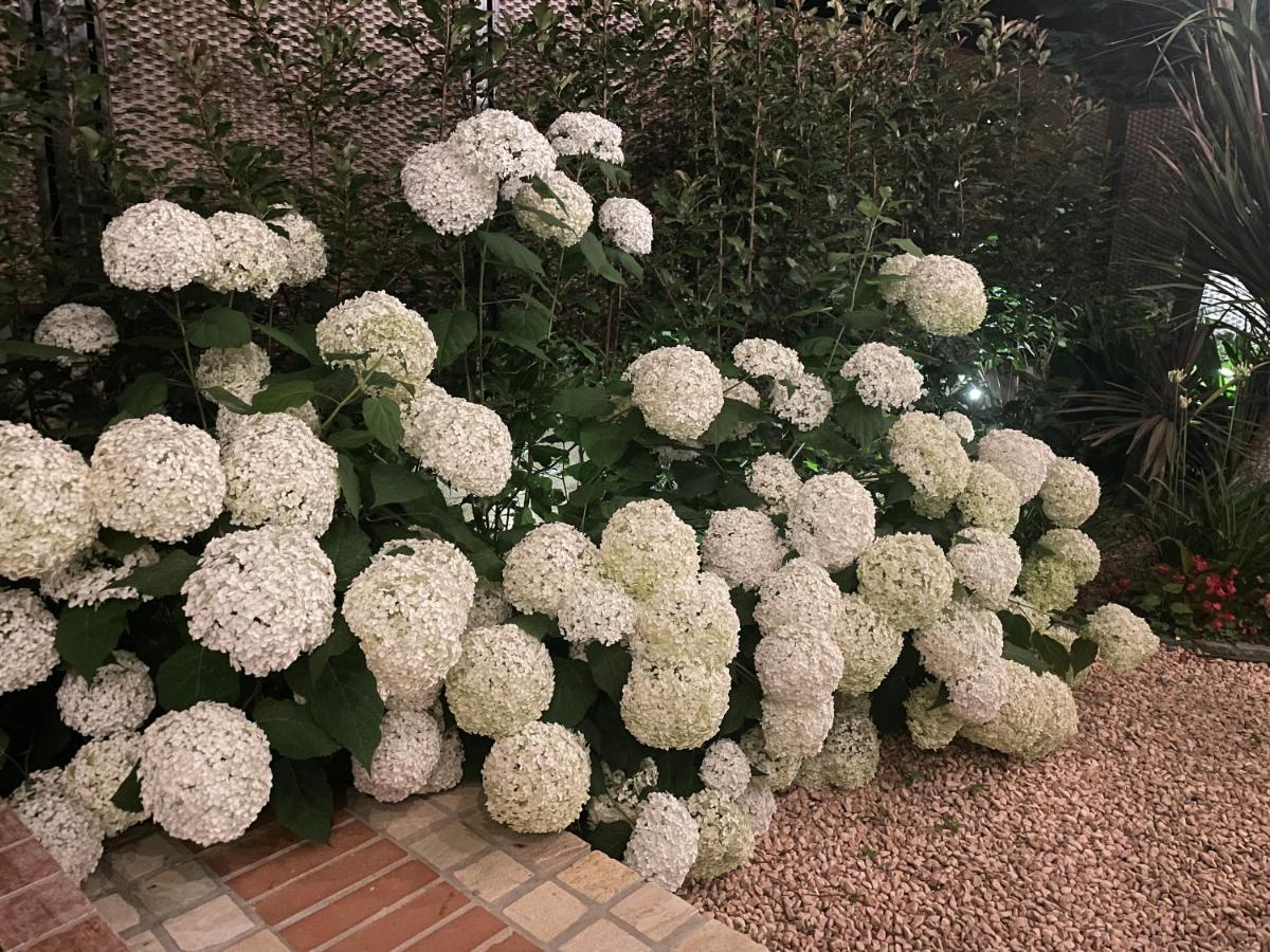Borgata Cantone Country House B&B Garlenda Extérieur photo