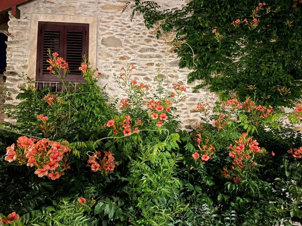 Borgata Cantone Country House B&B Garlenda Extérieur photo