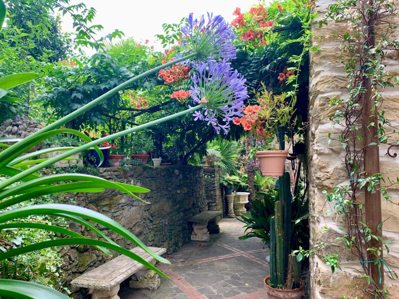 Borgata Cantone Country House B&B Garlenda Extérieur photo